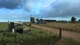 Доповнення American Truck Simulator - Washington для ПК (Ключ активації Steam) - изображение 3