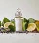 Туалетная Вода Penhaligons Blenheim Bouquet 100 Мл Тестер - изображение 3