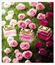 Escada Especially Escada Delicate Notes 30 Мл Туалетная Вода - изображение 6