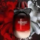 Парфумована Вода Fragrance World Prohibit Rouge 100 мл - зображення 3