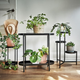 Подставка для вазонов OLIVBLAD IKEA 104.866.52 черный - изображение 4