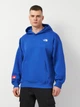 Худи утепленное мужское The North Face NF0A89G1CZ61 S Синее (197065066086) - изображение 1