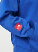 Худи утепленное мужское The North Face NF0A89G1CZ61 S Синее (197065066086) - изображение 5