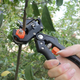 Профессиональный прививочный секатор Grafting Tool для обрезки и прививки деревьев (3 ножа) - изображение 6