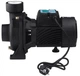 Насос поверхностный центробежный Pumpman TGA1C Нmax 15 м Qmax 30 куб.м 2"х2" 750 Вт (CV029763) - изображение 3
