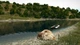 Игра Ultimate Fishing Simulator для ПК (Ключ активации Steam) - изображение 4