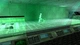 Гра Tomb Raider V: Chronicles для ПК (Ключ активації Steam) - изображение 4