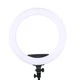 Светодиодная кольцевая лампа Ring Fill Light RL 12/QX300 (диаметр 30 см) - изображение 1