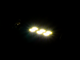 Світлодіодна автолампа C5W SV8.5 з обманкою 12-24В 41мм SMD3020-6led білий - зображення 2