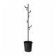 Вешалка ALGANAS IKEA 905.858.94 черный - изображение 1