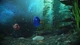 Гра RUSH: A Disney • PIXAR Adventure для ПК (Ключ активації Steam) - изображение 2