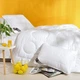 Одеяло зимнее Air Dream Exclusive двойное 140х210 см (8-11763) TM IDEIA - изображение 2