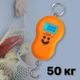 Электронные весы бытовые до 50 кг кантер для измерения в кг унциях фунтах с функцией тары, Оранжевые - изображение 1