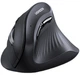 Мышь Ugreen Vertical Wireless Mouse MU008 (25444) - изображение 1