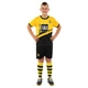 Форма футбольна дитяча із символікою футбольного клубу BORUSSIA DORTMUND домашня 2024 SP-Planeta CO-6264 20 жовтий-чорний - зображення 1