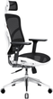 Fotel biurowy ergonomiczny Diablo Chairs V-Basic White-Black (5902560334562) - obraz 1