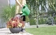 Садово-городня поливалка 5 л Prosperplast Spring - зображення 5