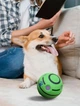 Интерактивный хихикающий мяч с пищалкой внутри Wobble Wag Giggle Ball AND-98 Green - изображение 1