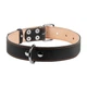 Кожаный двойной ошейник Collar Ш 35 мм Д 48-63 см Black (02791) - изображение 1