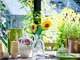 Конструктор LEGO Icons Botanicals Соняшники 191 шт для дітей 8+ (40524) - зображення 5