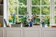Конструктор LEGO Icons Botanicals Соняшники 191 шт для дітей 8+ (40524) - зображення 6