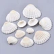 Морські Черепашки, без отвору, Білий, 12-27x15-35x5-12мм, 160шт/500г - зображення 5