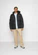 Куртка зимняя мужская Dickies L черная (12346011) - изображение 4
