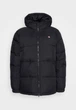 Куртка зимняя мужская Dickies L черная (12346011) - изображение 5