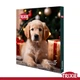Адвент календарь Trixie 9267 для собак PREMIO 30х34х3,5 см (TX-9267) 4011905092676 - изображение 1