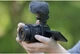 Sony E PZ 16-50mm F3.5-5.6 OSS II (SELP16502B.SYX) - изображение 16