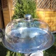 Металевий піднос з пластиковою кришкою-куполом (W018444) - зображення 6