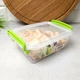 Пластиковый бокс для хранения пищи 0.55 л с крышкой Народный продукт - изображение 2