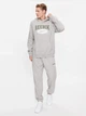 Худи мужское Reebok IM1529 L Серое (4066763174804) - изображение 7