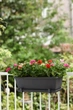 Піддон Elho barcelona trough saucer 70*3см, чорний (A-014705) - зображення 3