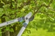 Гілкоріз Gardena EasyCut L обвідний 45 мм L=680 мм (аналог 12003-20.000.00) (12031-20.000.00) - зображення 12