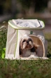 Рюкзак-переноска WAUDOG Relax Eco 40х40х26 см для кошек и мелких пород собак до 8 кг - изображение 12