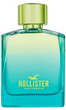 Туалетна вода для чоловіків Hollister Wave 2 For Him 30 мл (85715260147) - зображення 1