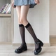Гольфы капроновые ультратонкие черные One Size - изображение 1