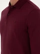 Поло длинное мужское Pierre Cardin G021SZ082-000-2015113(bordo) M Бордовое (8683857640708) - изображение 7