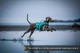 Рятувальний жилет для собак Protector life jacket Non-stop dogwear Бірюзовий 3 (17333) - зображення 3