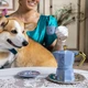 Гейзерна кавоварка Bialetti х Bridgerton Moka Expess на 3 чашки (130 мл) - зображення 4