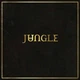 Виниловая пластинка Jungle - Jungle - изображение 1
