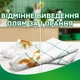 Гель для прання Ariel Гірське джерело 2.4 л (8006540874745) - зображення 5