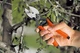 Секатор Stocker 380 с двумя режущими лезвиями - изображение 2
