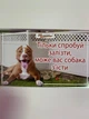 Табличка на забор (Осторожно злая собака) №5 - изображение 1