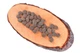 Сухой корм для взрослых собак всех пород со свежим мясом индейки Carnilove True Fresh TURKEY for Adult dogs 1,4 кг - изображение 2