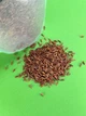 Рис червоний дикий нешліфований Just Healthy, 350 гр - зображення 6