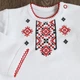 Боді вишиванка Ladan Орнамент 74 Білий (BD12-106-DR) - изображение 4