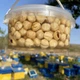Фундук у меду акації 0,5 л (600 грам) - зображення 3