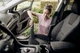 Комплект Karcher для уборки автомобиля 2.863-304.0 - изображение 9